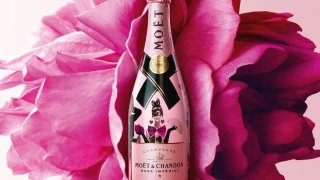MO+ЛT & CHANDON 2018 ROS+Й CAPSULE COLLETION VISUAL_PORTRAIT