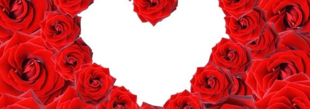 Roses-flowers-buds-red-many-beautiful-wallpapersrose-flower-buds-images_12101-2-640x360