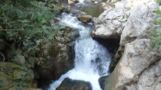 Няколко идеи за бърза, но приятна разходка сред природата в близост до София