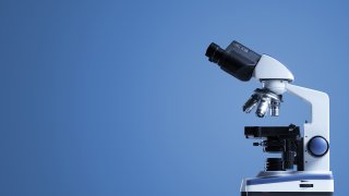 Историята на Антони ван Льовенхук – любопитният търговец, който промени начина, по който виждаме живота.
