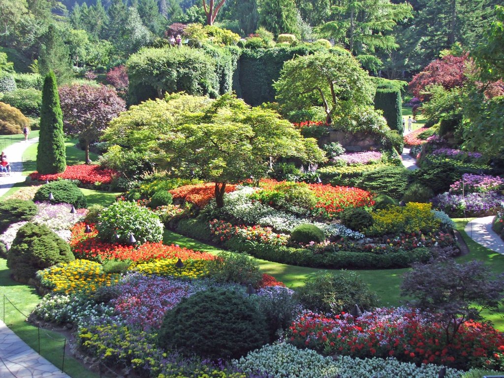 Градините Бучарт, КанадаТези смайващи градини се намират в Британска Колумбия, Канада, и на година се посещават от над 6 млн. туристи и местни жители. Кръстени са на създателката си Джени Бучарт, емигрантка от Великобритания, която се мести отвъд Океана, за да добива варовик със съпруга си. 

Джени създава общо четири градини – на морска тематика, японска, средиземноморска и розова. В момента там има и ресторант, кафене и заведение, което сервира гурме вечеря. Общата площ на градините е 55 акра.
