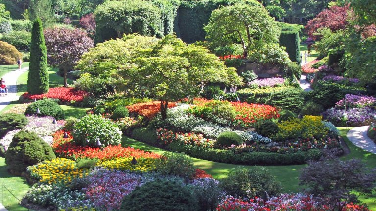 Градините Бучарт, КанадаТези смайващи градини се намират в Британска Колумбия, Канада, и на година се посещават от над 6 млн. туристи и местни жители. Кръстени са на създателката си Джени Бучарт, емигрантка от Великобритания, която се мести отвъд Океана, за да добива варовик със съпруга си. 

Джени създава общо четири градини – на морска тематика, японска, средиземноморска и розова. В момента там има и ресторант, кафене и заведение, което сервира гурме вечеря. Общата площ на градините е 55 акра.