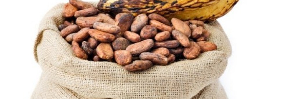 Cocoa-