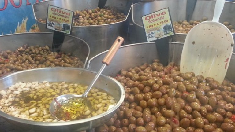 На маслините