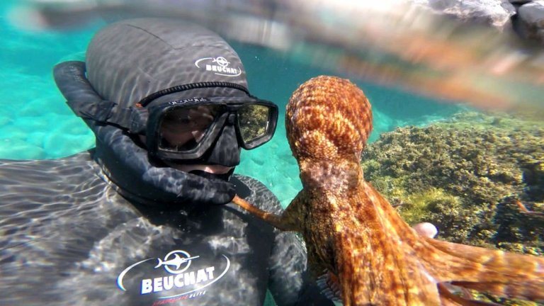„Нощното гмуркане е като добрия секс“: Българинът, покоряващ дълбините на света