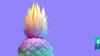 51548872_1963594183690381_7836641626574290944_o