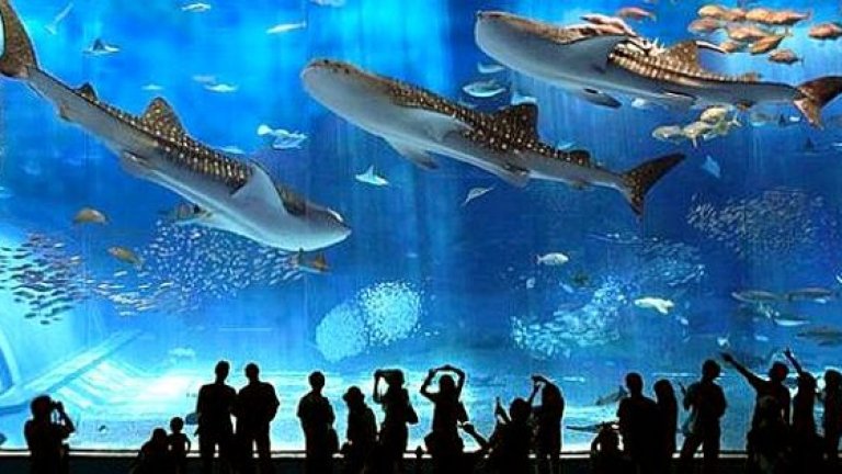 Top 5 на подводните светове