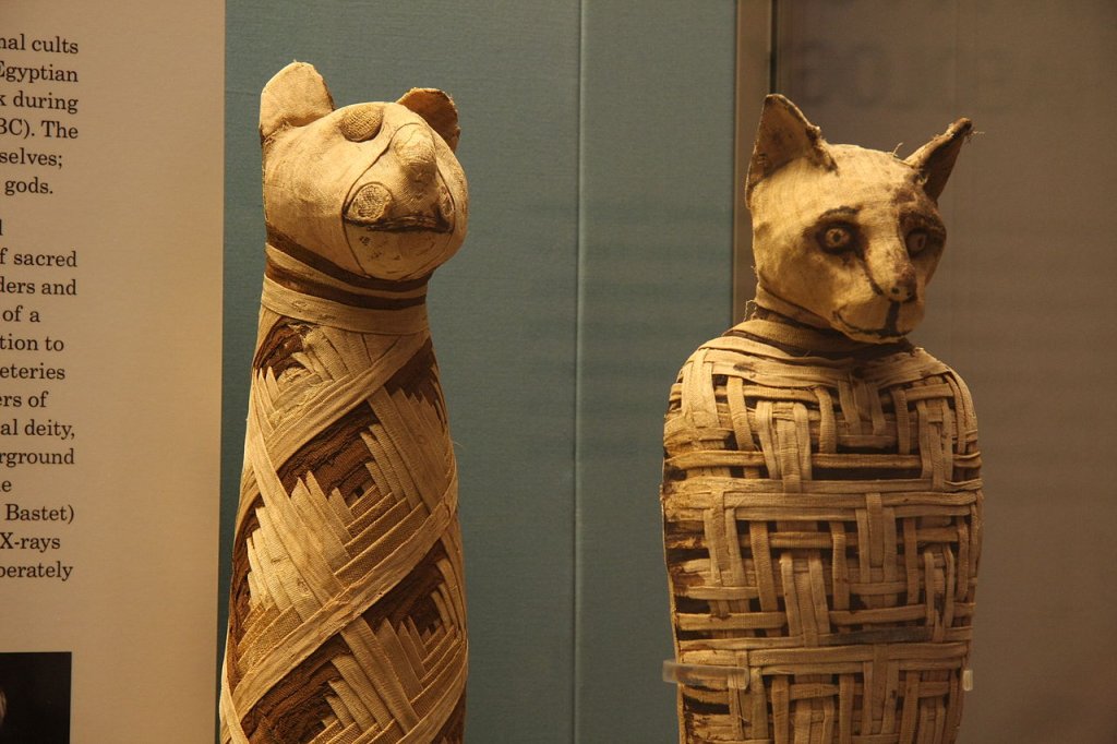 1280px-British_museum,_Egypt_mummies_of_animals_(4423733728)