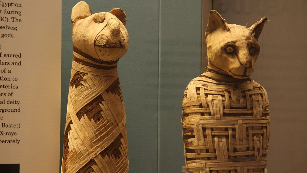 1280px-British_museum,_Egypt_mummies_of_animals_(4423733728)