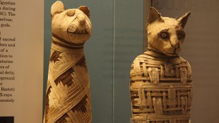 1280px-British_museum,_Egypt_mummies_of_animals_(4423733728)