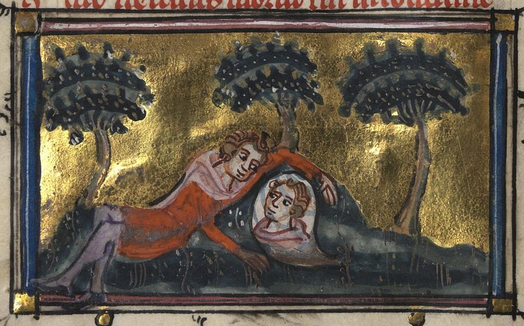 Roman_de_la_Rose_f._11v_(Narcissus_gazes_at_the_spring)