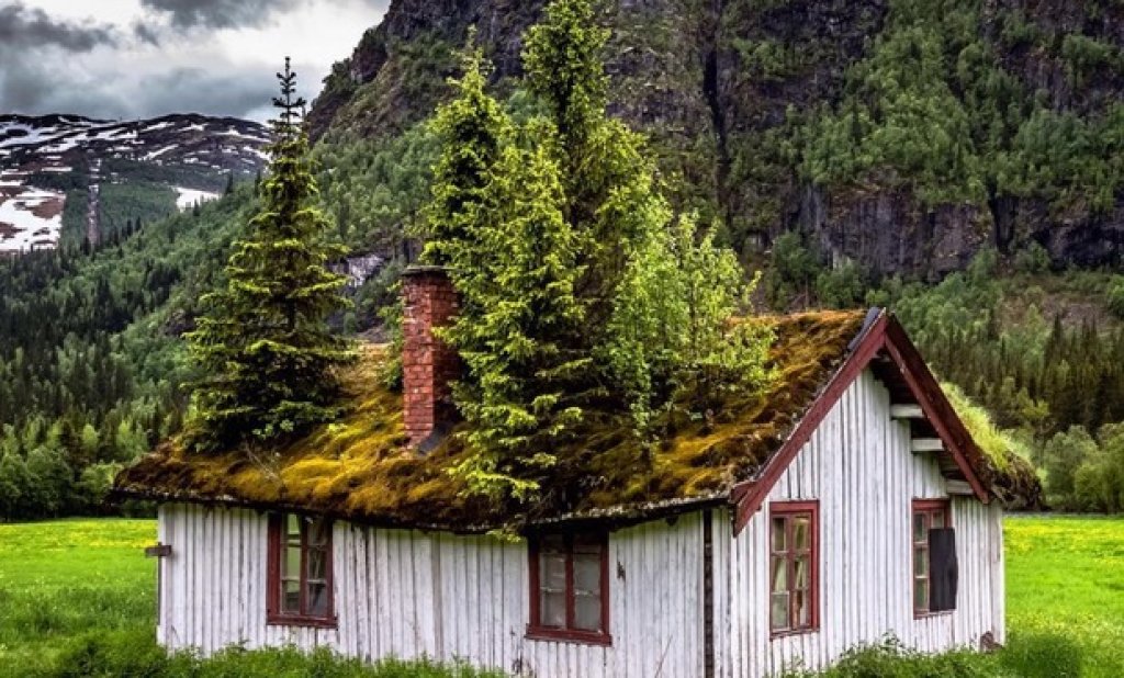 Изоставена къща в провинцията, Норвегия

Снимка: Europe Trotter