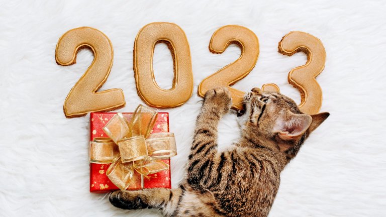 Коледно-новогодишните празници наближават, време е за планове