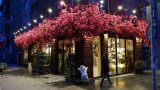 Как фотографът Вихрен Георгиев видя София през обектива на новия смартфон.