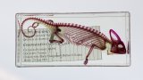 Lightbox_Chameleon-2