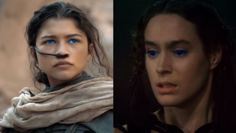 Чани
Момичето от Свободните, което е завладяло сънищата на Пол, е друг важен персонаж, а във филма на Дени Вилньов ролята е дадена на доста популярната в момента Зендая.
Зрителите я познават като Ем Джей в новите филми за Спайдър-мен с Том Холанд, сериала "Еуфория" и филма на Сам Левинсън "Малкълм и Мари".
Шон Йънг изпълнява ролята на Чани в "Дюн" от 1984 г. Актрисата е особено популярна през онова десетилетие и има роли в "Блейд Рънър", "Без изход" и "Уолстрийт".