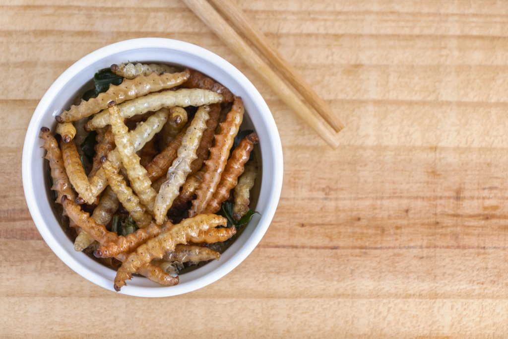 Bamboo edible worm insects crispy or Bamboo Caterpillar in white bowl on a wood table. The concept of protein food sources from insects. It is a good source of protein, vitamin, and fiber.