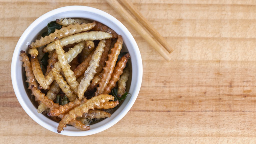 Bamboo edible worm insects crispy or Bamboo Caterpillar in white bowl on a wood table. The concept of protein food sources from insects. It is a good source of protein, vitamin, and fiber.