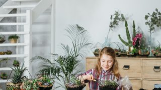 diy florarium gardening hobby girl succulents