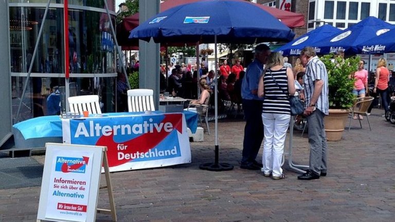 Алтернатива за Германия  
 Година на основаване: февруари 2013
 Лидер: Фрауке Петри
 Идеи: Евроскептицизъм, национален консерватизъм, миграционна политика, приличаща само способни и талантлини чужденци. За основно реформиране на ЕС, но против еврото - връщане на германската марка.
 Резултати: Федерални избори 2013 – получава 4.7% и остава на косъм от представителство в парламента, тъй като прагът е 5%.  Избори за Европейски парламент  2014: пето място - 7.1% от гласовете – 7 от 96 мандата. 
 Регионални избори 2014: 14 мандата в парламента на Саксония, 11 в Бранденбург. Регионални избори 2015: 8 мандата в Хамбург. Общо има 48 мандата от общо 1857 в законодателните органи на германските провинции.
 Членска маса: 22 000
