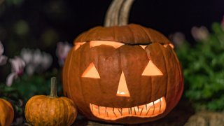 Pumpkin season