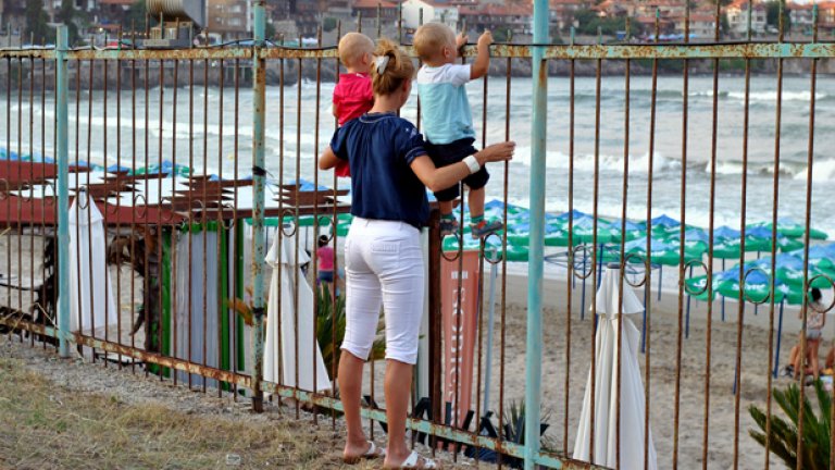 Помирисвал ли си българска роза