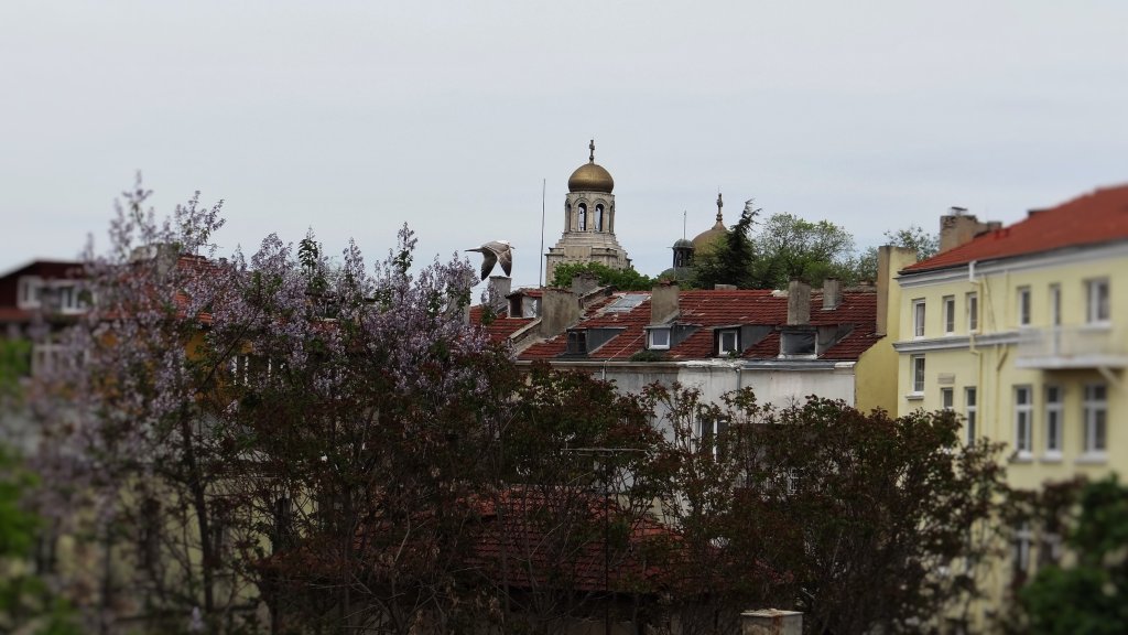 варна