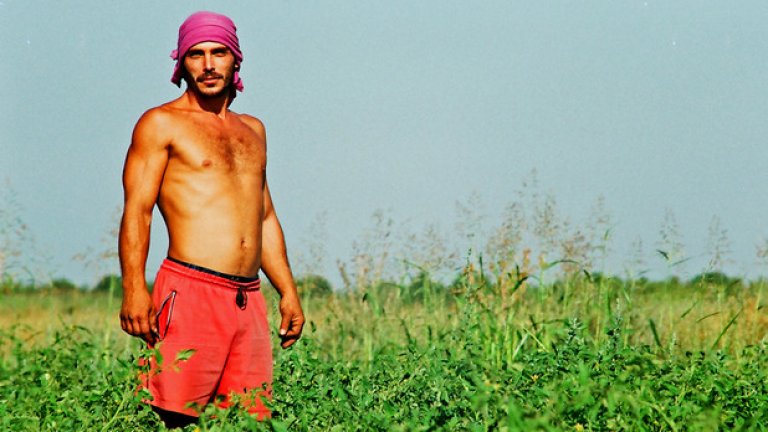 Не PR, а истински домати