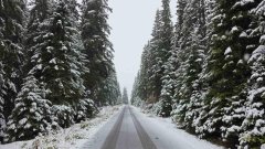 На Петрохан снежната покривка е между 2 и 3 сантиметра