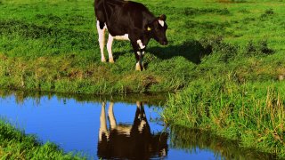 Инцидентът е станал край Димитровград (снимката е илюстративна)