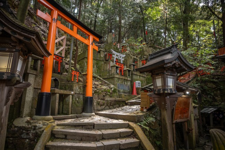 По-голямата част от Фушими Инари изглежда така.