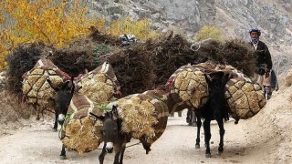 afghanistan3_589