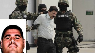 el-chapo159