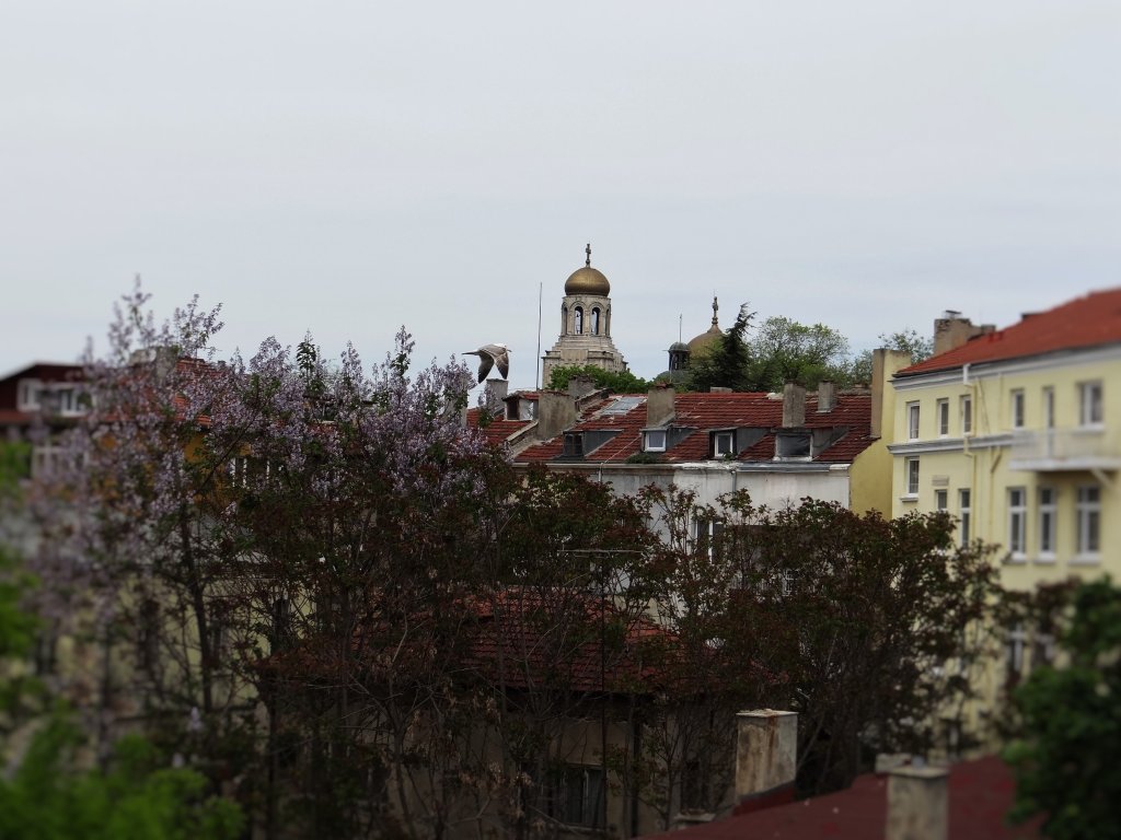 Поглед към катедралата