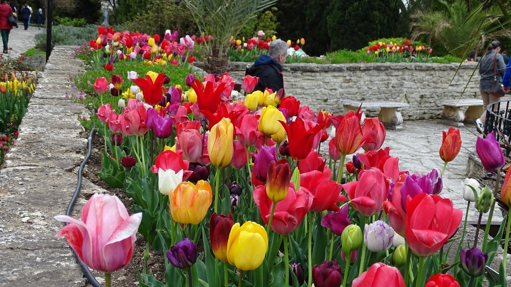 "Парад на лалетата" в Балчик (галерия)