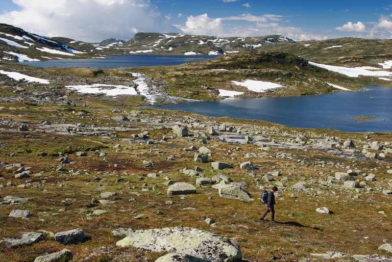 Хардангервида е най-голямото високопланинско плато в Северна Европа.