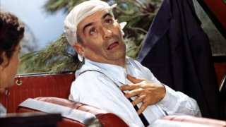 Sur_un_arbre_perché_Louis_de_Funès