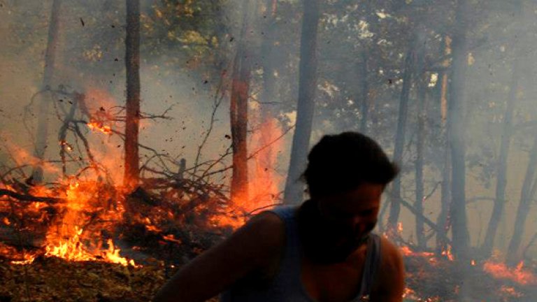 Доброволно страхотна