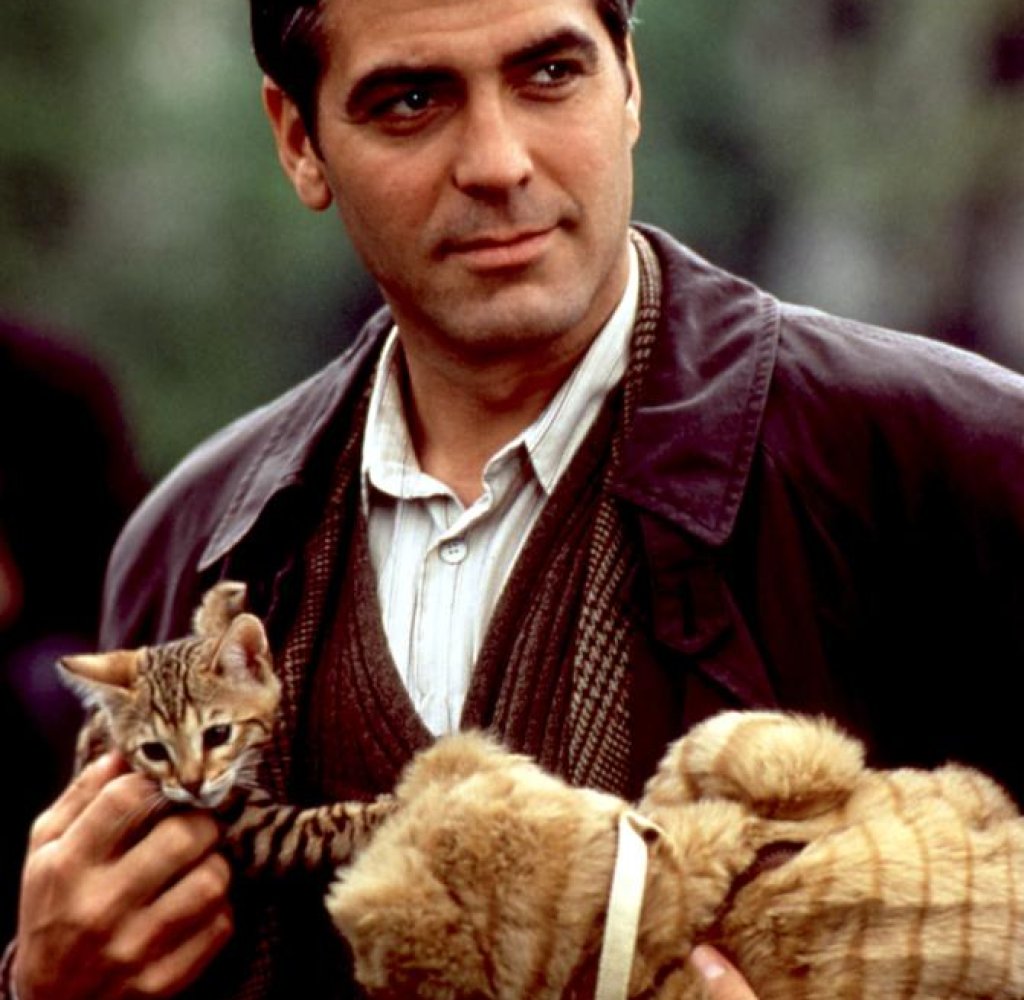 Самотният татко: Как да не се влюбиш в Джордж Клуни в „Един прекрасен ден“? Гушка котка и има прекрасна дъщеря. Освен това е вечен ерген, който обича да поставя жените на мястото им и да парадира с постиженията си. Ах, колко мъжествено.