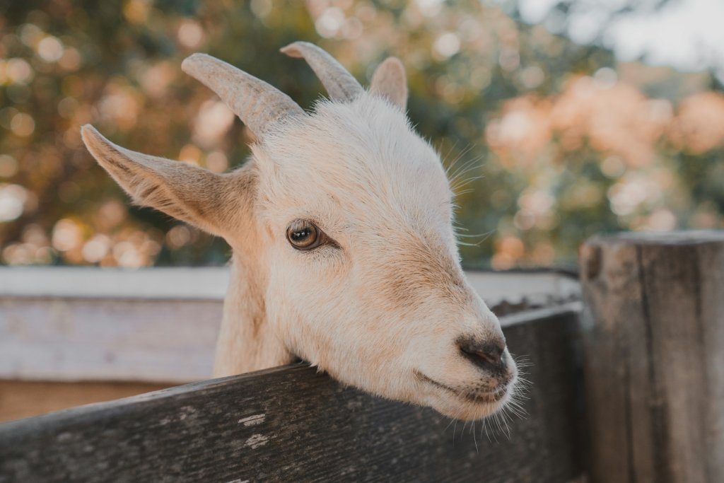 kaleb-tapp-3mvzYkSF-qY-unsplash