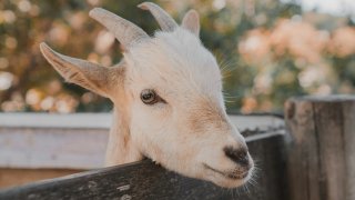 kaleb-tapp-3mvzYkSF-qY-unsplash