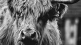 lori-grimshaw-58anvdMm3ms-unsplash