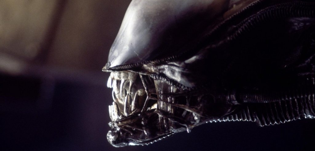 Alien ("Пришълецът")

Защо да не погледате и малко страховита фантастика? Може дори да се направи паралел между истинските вируси и това как страховитите ксеноморфи се развиват чрез човешки тела. Добрата новина? И двете могат да бъдат победени. 

Фокусирайте се върху оригиналния Alien (1979 г.), Aliens (1986 г.), Alien 3 (1992 г.) и Alien Resurrection (1997 г.). След като сте преминали през историята на Рипли (Сигърни Уивър) и борбата й с извънземните чудовища, върнете се в миналото и се запознайте с предисторията чрез "Прометей" (Prometheus, 2012 г.) и "Пришълецът: Заветът" (Alien: Covenant, 2017 г.).

Тук правим една уговорка и тя е да не гледате двата филма "Пришълецът срещу Хищника" (2004 и 2007 г.), защото това, за съжаление, ще е по-скоро загуба на време.