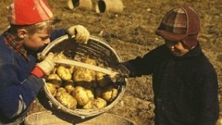 Журналистическата етика зависи от всеки от нас. Какъв ще бъде изборът ни днес?
