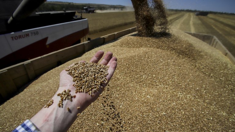 На преден план отново стоят страховете за световна продоволствена криза