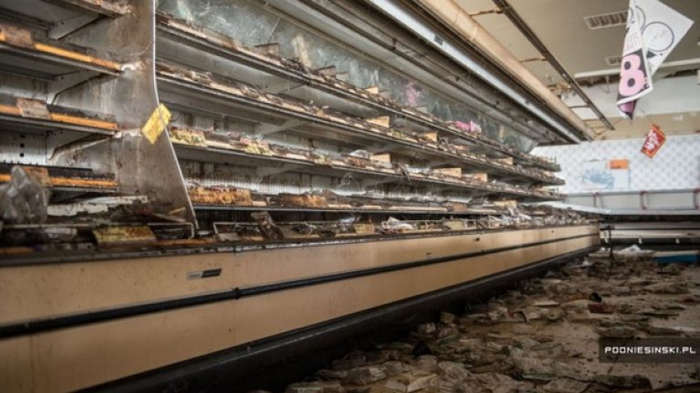 Природата завладява изоставената Фукушима