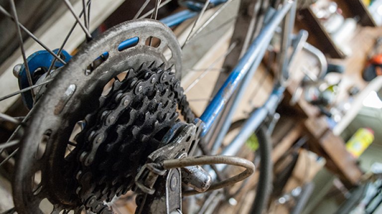 Дървото на живота