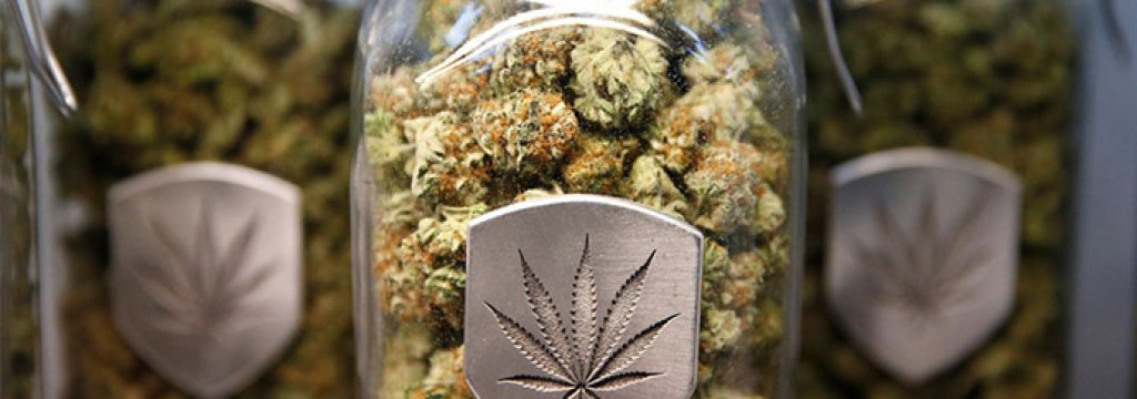 marihuana1