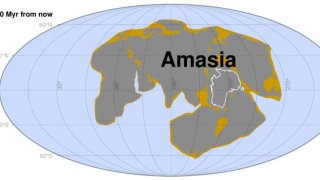 amasia-l