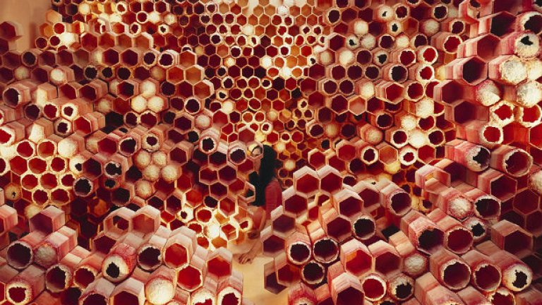 Приказки в стая